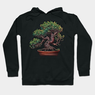 Hoya Carnosa Bonsai Hoodie